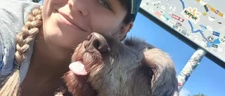 Hunden Abbe simmade i full fart efter vattenskoter: "Jag trodde han skulle drunkna"
