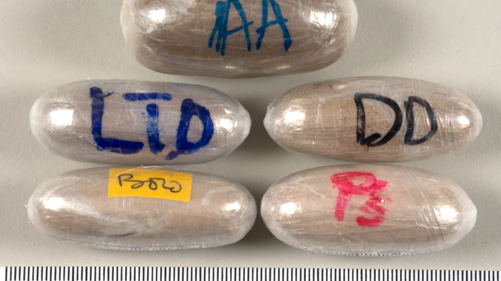 I dag kom en ny dom i en stor narkotikahärva som har kopplingar till bland annat Nederländerna. Ett nätverk tros ligga bakom stora mängder av insmugglat kokain och heroin och Tullverket har gjort en rad beslag av narkotika som varit paketerad i olika former av kapslar.
