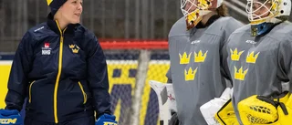 VH värvar dubbelt – ny back och målvaktstränare klar