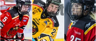 Veteranbacken förlänger: "Finns inget annat lag i Sverige än Luleå Hockey/MSSK"