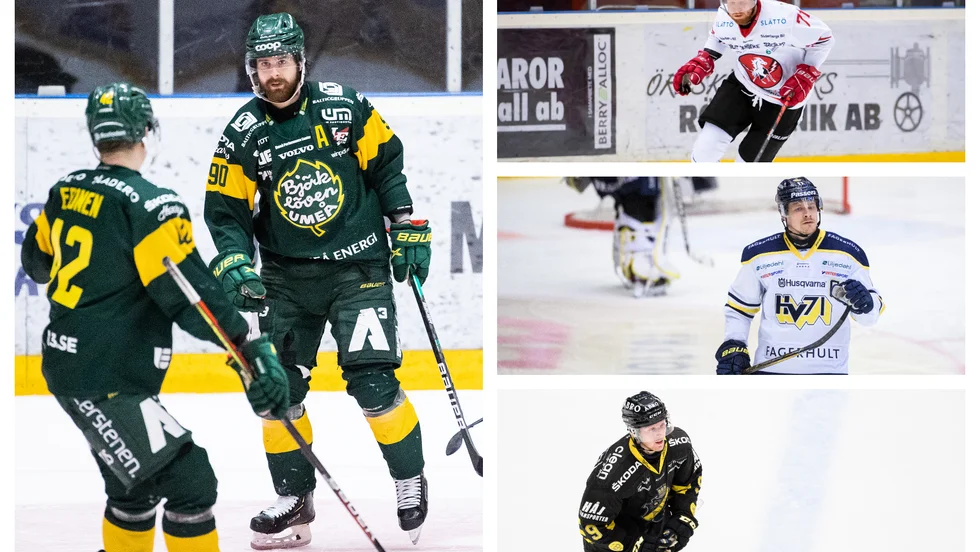 Ännu en sprakande säsong av hockeyallsvenskan står för dörren. Det tackar vi för.