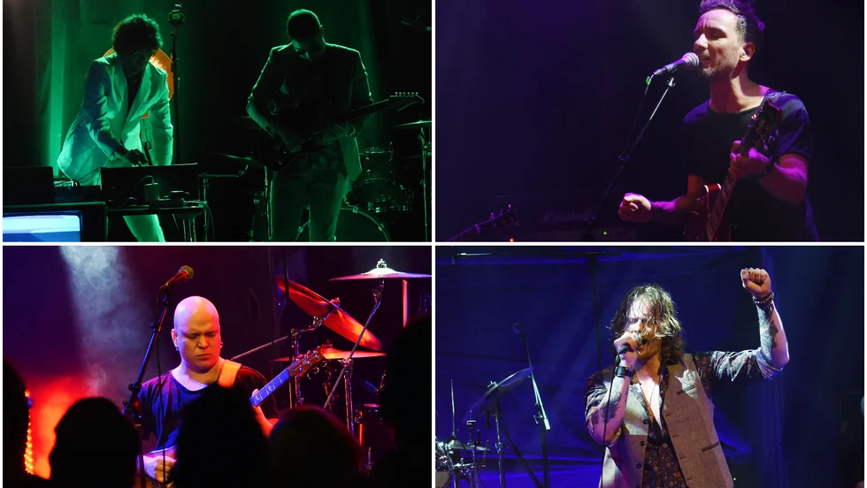 Febern, Krake, Concealed elephant och Gray soul pennies imponerade särskilt mycket på recensenten under Kulturnatten.