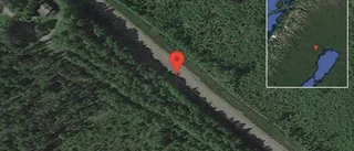 Fallna träd skapar problem i trafiken på väg 94