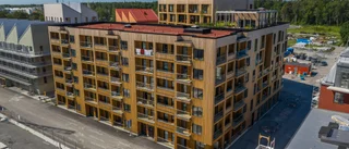 Hus i Rosendal hyllades internationellt