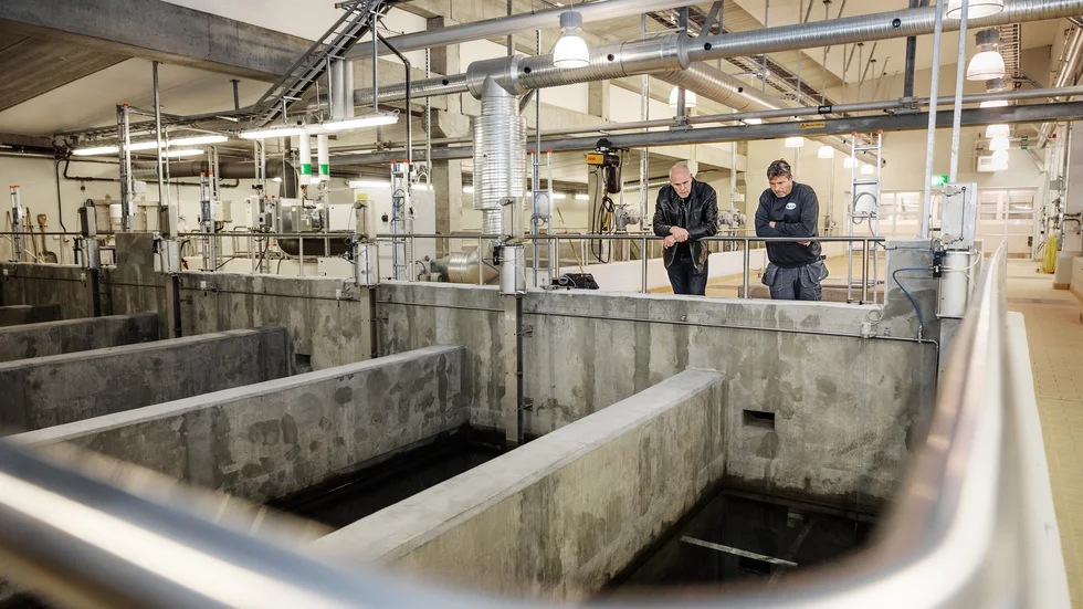 I Bäcklösa vattenverk i Uppsala har kolfilter insatallerats för att rena dricksvattnet från pfas-ämnen. 