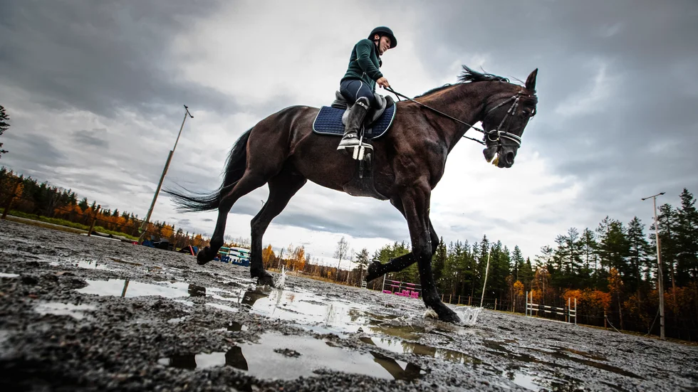 Det har varit en svår tid sedan den traumatiska olyckan när Elisa Thorell miste sin drömhäst Stirling på nyårsafton 2018, men Zune, den gracila busen, är hennes nya hopp. "Han är bara fem år så det är lite för mycket dans än, men jag hoppas mycket på honom i dressyr", säger hon.