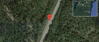 Fallna träd skapar problem i trafiken