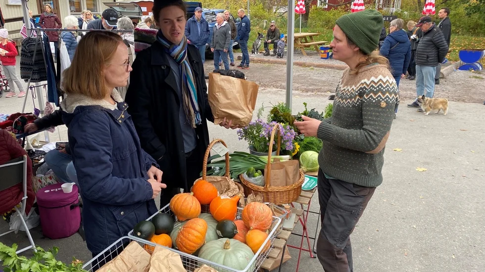 Lisa Danielsson och Julius Sandgren från Edingeboden sålde sin skörd på marknaden. Här i samspråk med kunden Helen Oscarsson (till höger) om tomatskörden.