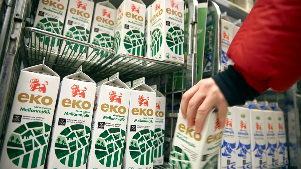 Vegetabiliska alternativ har bidragit till en minskad försäljning av ekologiska mejeriprodukter. Arkivbild