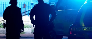 Illegal arbetskraft upptäckta i polisrazzia
