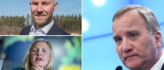 Rådens brev till Löfven – vill bli ett stålkluster