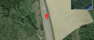 Ko på vägen på väg 53