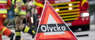 Kraftig nedgång i antalet vildsvinsolyckor: "Jägarna har tagit ett större ansvar"