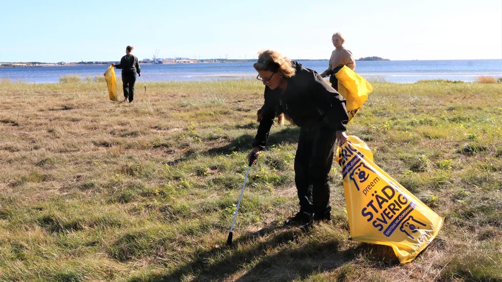 

Så här såg det ut ifjol då bland andra Gabrielle Westerlund plockade skräp på Sandängesstranden, Gläntan. Även i år har Piteå Rid och Körsällskap plockat skräp, så även ungdomar från MSSK. (Arkivbild)