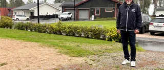 Bostadsrättsförening vid Djulö backar har fått nog – kräver krafttag från kommunen: "Rensa ogräs"