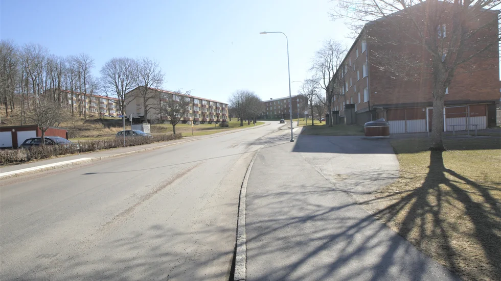 Genrebild Charlottenborg.