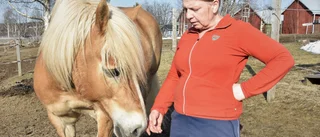 Plötsligt hade hennes häst försvunnit: "En sådan obehaglig känsla"