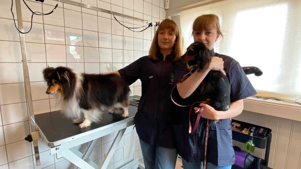Systrarna Sophie och Caroline Tegenfalk har startat upp Trosas första hundfrisering.