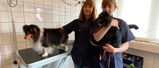 Fler skaffar hund – nu öppnar ny frisering i Trosa