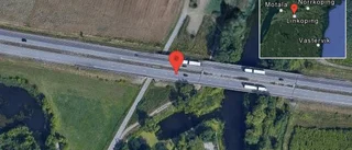 Rådjur på vägen