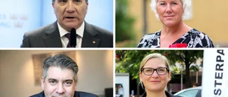 V om att fälla regeringen: "Värt risken att få en högerregering"