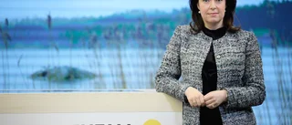Vattenfall: "Inte en avsiktlig manipulation"