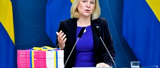 Den missade skattereformen är budgetens främsta brist