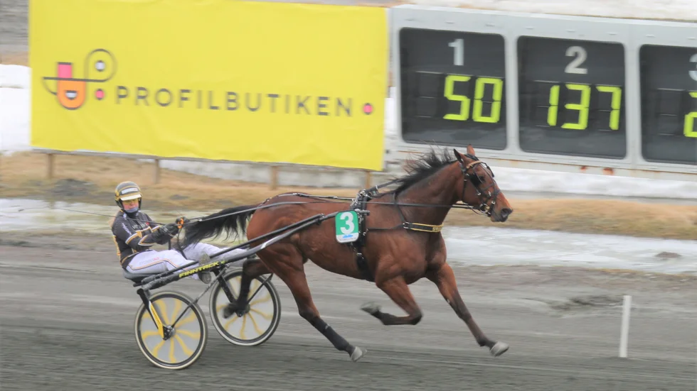 Swagger (Sandra Eriksson)