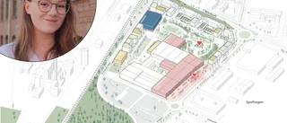  Planen för Spelhagen: Ny skola och runt 350 bostäder