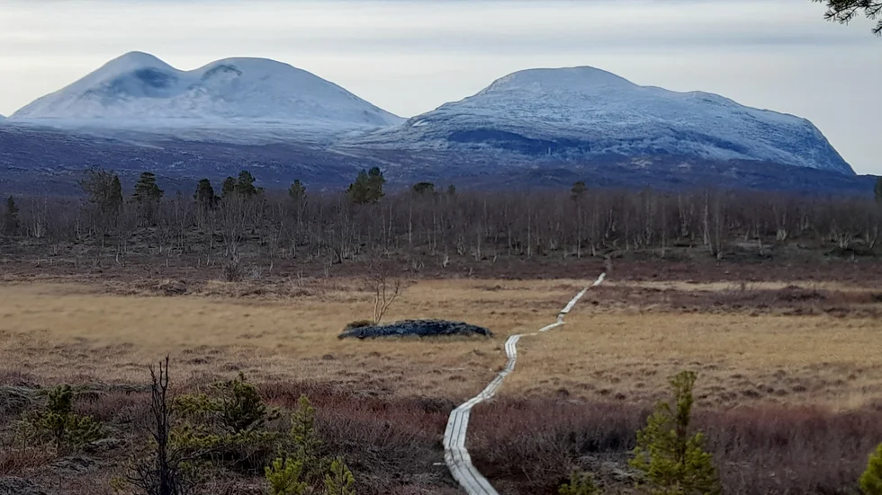 Abisko i höstskrud.