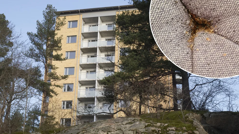 I sex månaders tid plågade vägglössen Sara och hennes familj, i lägenheten på Ängstugevägen.