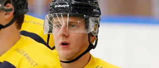 VIK-produkten påstås jagas av "halva SHL"