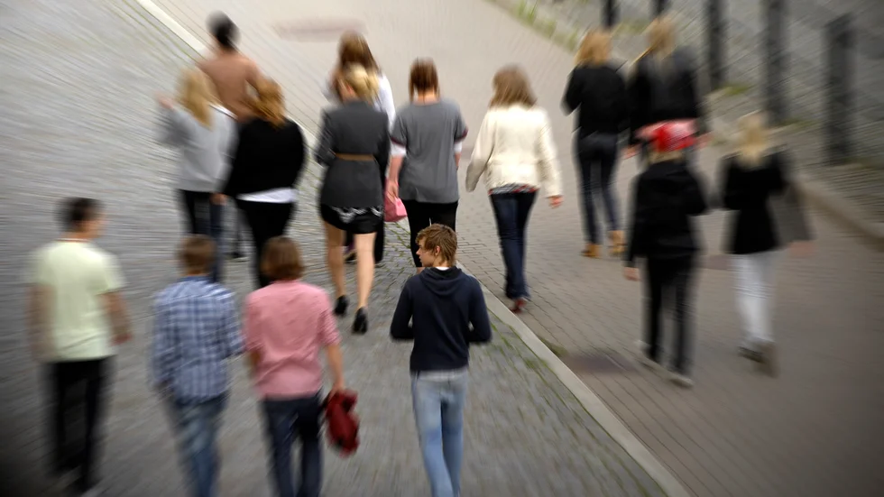 Gymnasieskolan har växt även detta läsår, både på de högskoleförberedande programmen och yrkesprogrammen. Arkivbild.