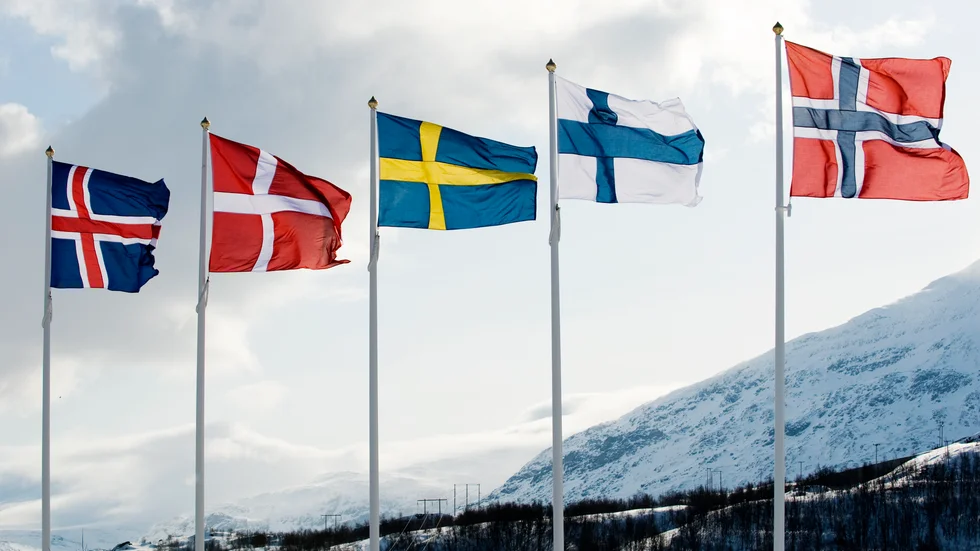 "På Nordens dag vill vi uppmärksamma vikten av att de nordiska länderna jobbar tillsammans för lösa gemensamma samhällsutmaningar samt att vi lokalt visar stöd för den nordiska sammanhållningen genom flaggning", skriver insändarskribenterna. (Arkivbild)