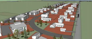 Därför sa vi nej till nytt bostadsområde på Nötön
