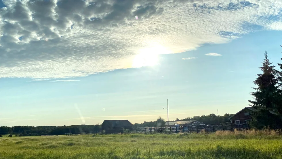 Tidig morgon på väg med bil mot Luleå.
