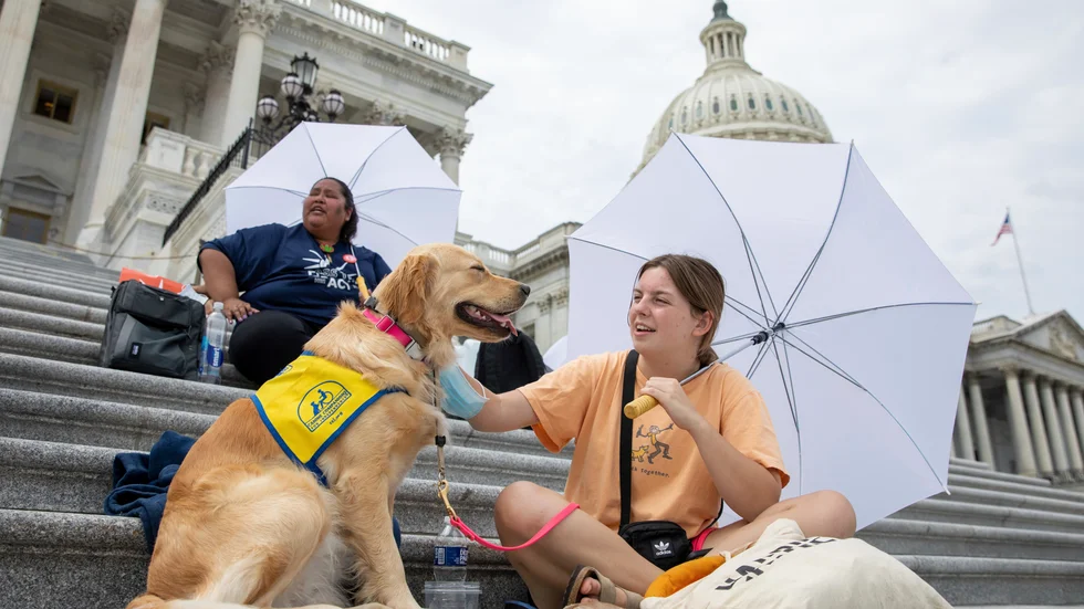 Casey Long och hunden Adrienne på trappan till USA:s kongress. Casey och andra demonstranter krävde på tisdagen att Joe Biden och hans regering gör mer för att undvika att miljontals amerikaner blir vräkta i spåren av pandemin.