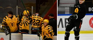 AIK och Johnson redo för CHL-vecka: ”Fick sy något stygn”