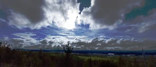 Bilden av sommaren            