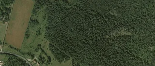 Ägarbyte för gård i Rute