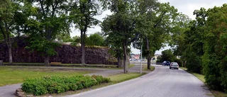 Träd ska fällas vid ruinen