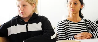 Provade en lektion på Alphaskolan