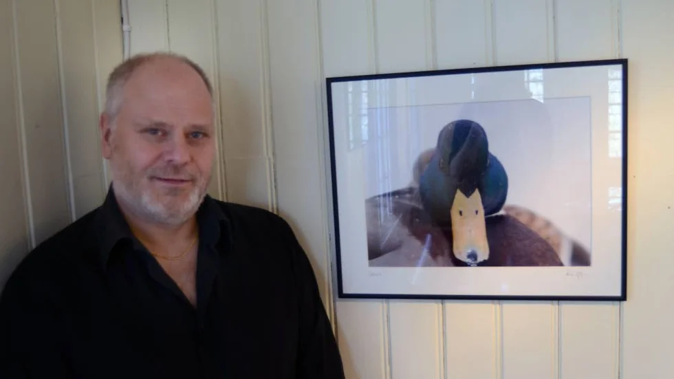 Anders Sjögren från Tjust Fågelklubb ställer ut på Lofta Caffè, här med en rundkindad gräsand.