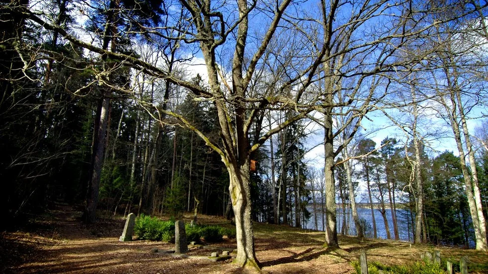 Kyrkogården vid Gertrudsvik.