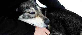 Disa var försvunnen i elva dygn