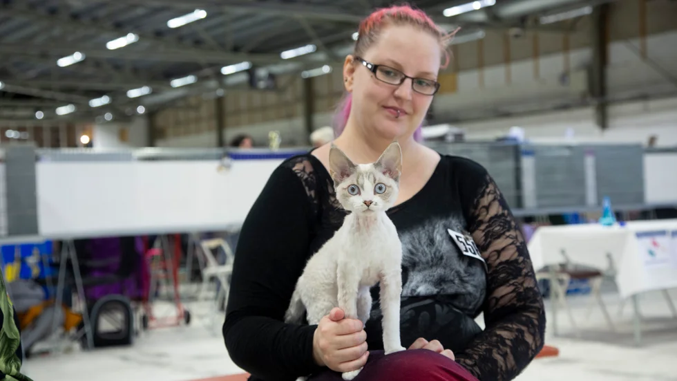 Det var första gången Louise Nilsson ställde ut sin Devon Rex Elentiya. "Det gick bra, men det var en lite snyggare katt som vann."