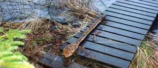 "Det är ett svårt mordfall"