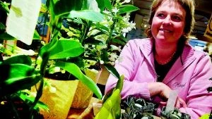 Gröna fingrar. Inger Nilsson är florist på Mariebergs blommor i Västervik. I helgen jobbar hon i handelsträdgården, och firar att sonen är på besök.  Foto: Ellen Kindstrand