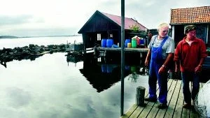 Njutbart. Makarna Kalle och Birgit Karlsson på Sladö måste påminna sig själva ibland om hur vackert de har det. "Det är lätt att bli hemmablind", säger Birgit.Foto: Karin Hertz