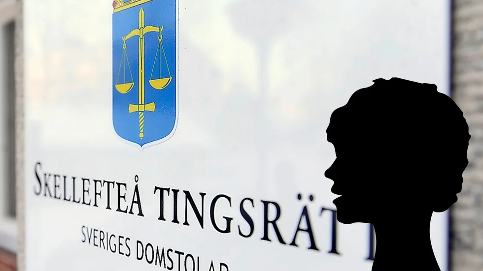 Bokföraren berättar att hon bara gått några enklare kurser i bokföring och att hon brukar lämna bort årsbokslut och räknar med att revisiorer granskar bokföringen då.